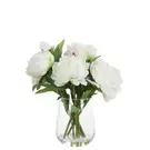 Composition de Pivoines en vase 40 cm - Blanc