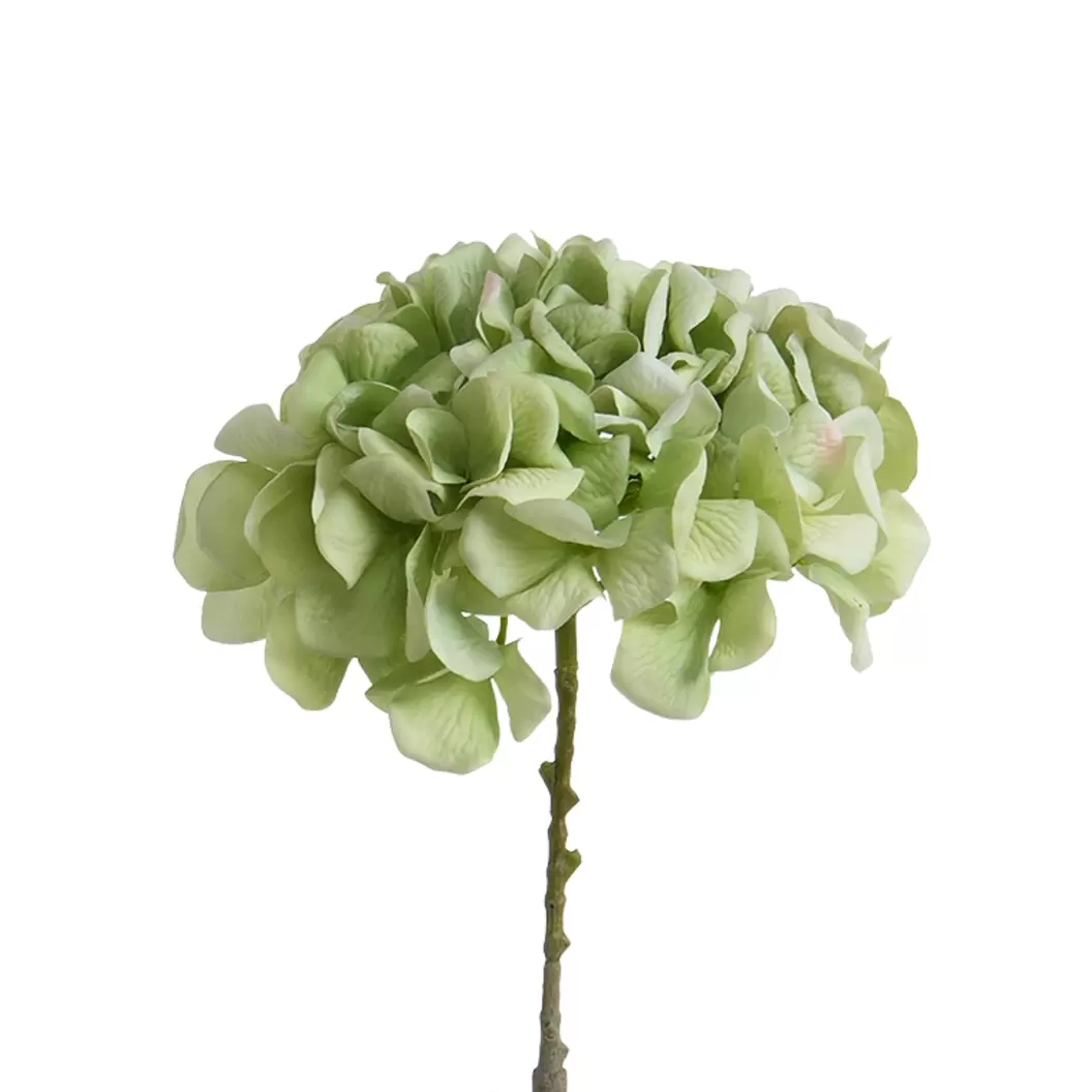 Tige d’Hortensia 63 cm - Vert