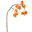 Branche Églantier 64 cm - Orange