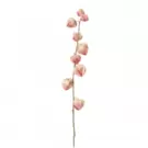 Tige de Physalis Marly 54 cm - Rose