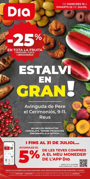 Catálogo Dia | Estalvi en Gran del 16/07 al 22/07 | 2025-07-16T00:00:00.000Z - 2025-07-22T00:00:00.000Z