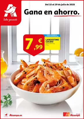 Catálogo Alcampo en Zaragoza | Gana en ahorro | 2025-07-16T00:00:00.000Z - 2025-07-29T00:00:00.000Z