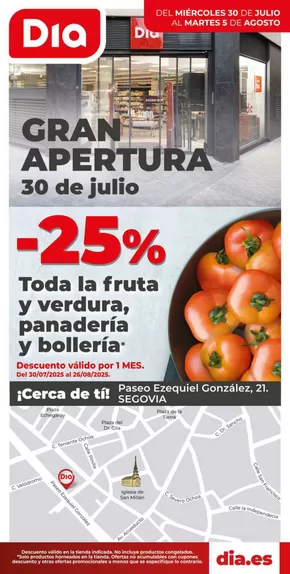 Catálogo Dia en Segovia | Gran apertura Dia del 30/07 al 05/08 | 2025-07-30T00:00:00.000Z - 2025-08-05T00:00:00.000Z