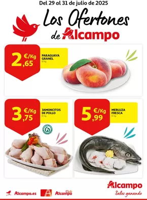 Del 29 al 31 de julio de 2025