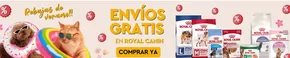 Catálogo Petuluku en Badalona | Ofertas | 2025-08-04T00:00:00.000Z - 2025-08-31T00:00:00.000Z