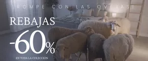 Rebajas -60%