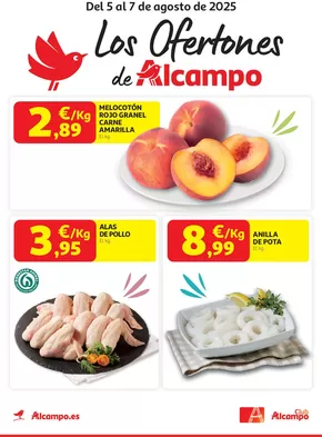 Del 5 al 7 de agosto