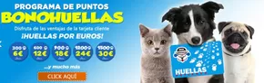 Promoción 