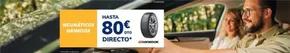 Hasta 80€