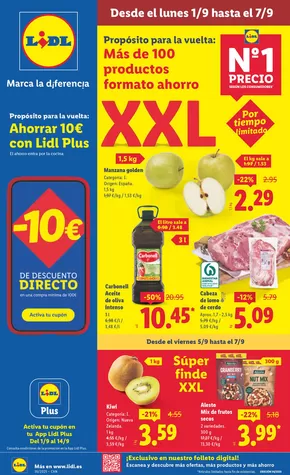 Catálogo Lidl en Ingenio | № 1 PRECIO - Ofertas válidas del 01/09 al 07/09 | 2025-09-01T00:00:00.000Z - 2025-09-07T00:00:00.000Z