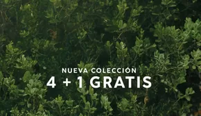 4+1 GRATIS