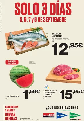 Catálogo El Corte Inglés en Zaragoza | Precios válidos del 5 al 8 de septiembre de 2025 en Canarias. | 2025-09-05T00:00:00.000Z - 2025-09-08T00:00:00.000Z