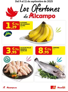 Del 9 al 11 de septiembre de 2025