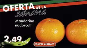 Oferta de la semana