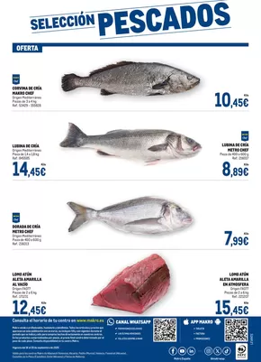 Catálogo Makro | Vigencia del 16 al 29 de septiembre de 2025 | 2025-09-17T00:00:00.000Z - 2025-09-29T00:00:00.000Z