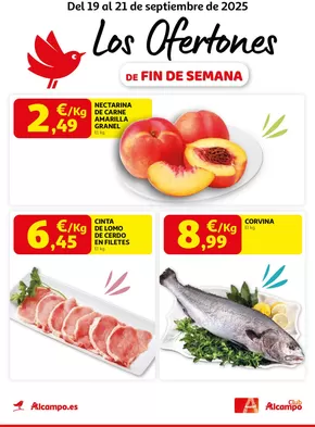 Del 19 al 21 de septiembre de 2025