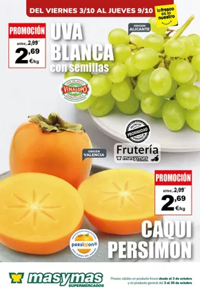 Catálogo Masymas