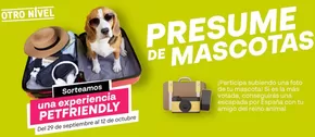 Catálogo Los Ángeles en Málaga | Presume De Mascotas | 2025-10-10T00:00:00.000Z - 2025-10-12T00:00:00.000Z