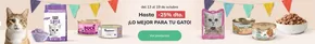 Catálogo Planeta Huerto en Vilagarcía de Arousa | Hasta -25% dto. | 2025-10-13T00:00:00.000Z - 2025-10-19T00:00:00.000Z