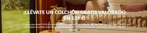 Catálogo FLEXA en Córdoba | Promoción  | 2025-10-16T00:00:00.000Z - 2025-10-30T00:00:00.000Z