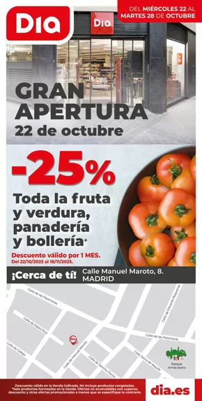 Catálogo Dia en Madrid | Gran apertura Dia del 22/10 al 28/10 | 2025-10-22T00:00:00.000Z - 2025-10-28T00:00:00.000Z