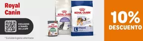 Catálogo Zooplus en Castelló de Rugat | 10 % descuento en Royal Canin a través de la App | 2025-10-28T00:00:00.000Z - 2025-11-03T00:00:00.000Z