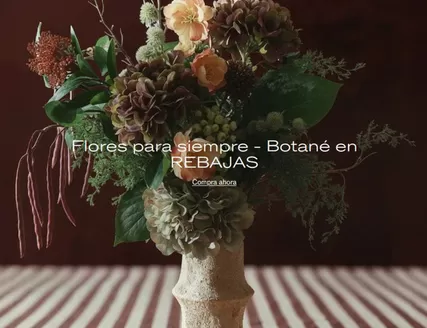 Catálogo Westwing en Madrid | Botané En Rebajas | 2025-11-07T00:00:00.000Z - 2025-11-20T00:00:00.000Z