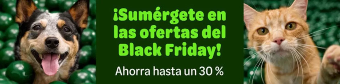 Catálogo Zooplus en Lalín | Ahorra hasta un 30% | 2025-11-12T00:00:00.000Z - 2025-11-18T00:00:00.000Z