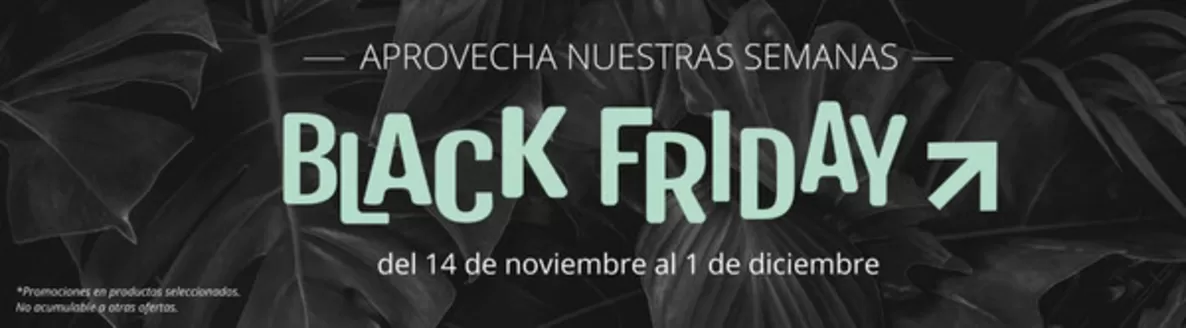 Catálogo Verdecora en Alameda | Rebajas | 2025-11-18T00:00:00.000Z - 2025-12-01T00:00:00.000Z