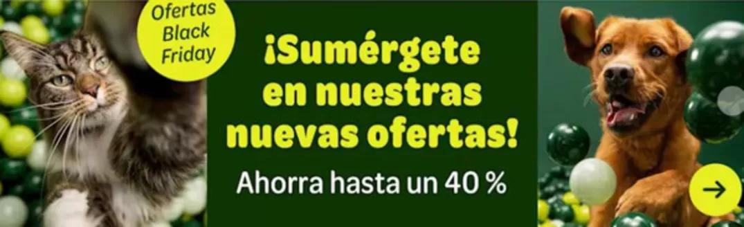 Catálogo Zooplus en Candás | Ahorra hasta un 40% | 2025-11-20T00:00:00.000Z - 2025-11-30T00:00:00.000Z