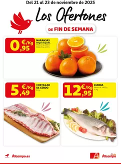 Catálogo Alcampo | Del 21 al 23 de noviembre de 2025 | 2025-11-21T00:00:00.000Z - 2025-11-23T00:00:00.000Z