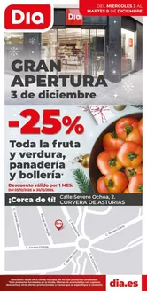 Catálogo Dia | Gran apertura Dia del 03/12 al 09/12 | 2025-12-03T00:00:00.000Z - 2025-12-09T00:00:00.000Z
