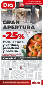 Catálogo Dia en Dos Hermanas | Gran apertura Dia del 03/12 al 09/12 | 2025-12-03T00:00:00.000Z - 2025-12-09T00:00:00.000Z