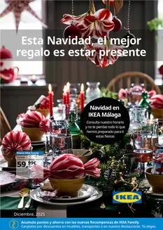 Catálogo IKEA en El Plantío | IKEA - Málaga | 2025-12-01T00:00:00.000Z - 2025-12-31T00:00:00.000Z