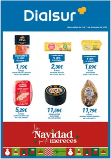 Catálogo Dialsur Cash & Carry en Murcia | Oferta válida del 1 al 21 de diciembre | 2025-12-02T00:00:00.000Z - 2025-12-21T00:00:00.000Z