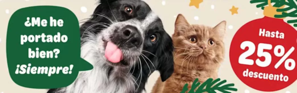 Catálogo Zooplus en Santa Maria de Palautordera | Hasta 25% De Descuento | 2025-12-03T00:00:00.000Z - 2025-12-16T00:00:00.000Z