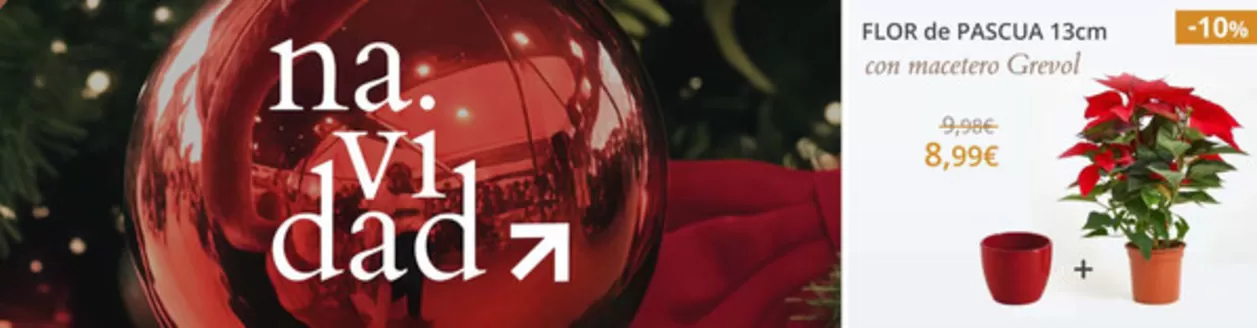 Catálogo Verdecora en Mislata | Promoción  | 2025-12-03T00:00:00.000Z - 2025-12-16T00:00:00.000Z