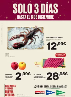 Catálogo Supercor en Verger | ¡Solo 3 días! | 2025-12-05T00:00:00.000Z - 2025-12-08T00:00:00.000Z