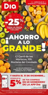 Catálogo Dia en Almonte | Ahorro a lo grande del 10/12 al 16/12 | 2025-12-10T00:00:00.000Z - 2025-12-16T00:00:00.000Z