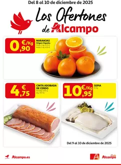 Catálogo Alcampo en León | Del 8 al 10 de diciembre de 2025 | 2025-12-09T00:00:00.000Z - 2025-12-10T00:00:00.000Z