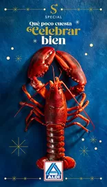 Catálogo ALDI en Utrera | Celebra cada día con Special | 2025-12-10T00:00:00.000Z - 2025-12-16T00:00:00.000Z