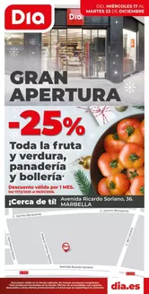 Catálogo Dia en Padul | Gran apertura Dia del 17/12 al 23/12 | 2025-12-17T00:00:00.000Z - 2025-12-23T00:00:00.000Z