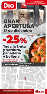 Catálogo Dia en Puebla de Alfindén | Gran apertura Dia del 17/12 al 23/12 | 2025-12-17T00:00:00.000Z - 2025-12-23T00:00:00.000Z