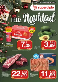 Catálogo CashDiplo | Del 16 al 31 de diciembre de 2025 | 2025-12-16T00:00:00.000Z - 2025-12-31T00:00:00.000Z