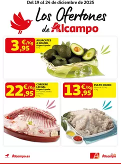 Catálogo Alcampo en Baeza | Del 19 al 24 de diciembre de 2025 | 2025-12-19T00:00:00.000Z - 2025-12-24T00:00:00.000Z