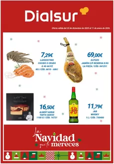 Catálogo Dialsur Cash & Carry en Ciudad Real | Oferta válida del 22 de diciembre de 2025 al 11 de enero de 2026 | 2025-12-22T00:00:00.000Z - 2026-01-11T00:00:00.000Z