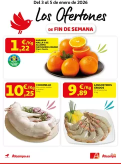 Catálogo Alcampo en Priego de Córdoba | Del 3 al 5 de enero de 2026 | 2026-01-03T00:00:00.000Z - 2026-01-05T00:00:00.000Z