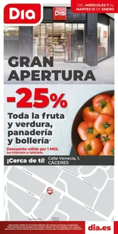 Catálogo Dia en Castejon (Navarra) | Gran apertura Dia del 07/01 al 13/01 | 2026-01-07T00:00:00.000Z - 2026-01-13T00:00:00.000Z