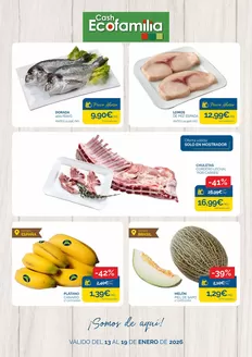 Catálogo Cash Ecofamilia en Beas de Segura | ¡Somos de aquí! | 2026-01-14T00:00:00.000Z - 2026-01-19T00:00:00.000Z