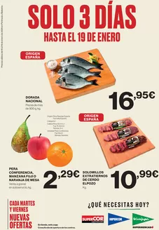 Catálogo Hipercor en Igualada | Solo 3 Días | 2026-01-16T00:00:00.000Z - 2026-01-19T00:00:00.000Z